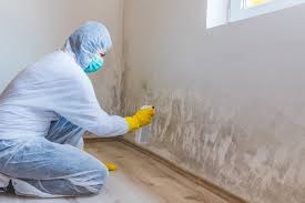 Best Asbestos and Lead Testing During Mold Inspection  in , NH